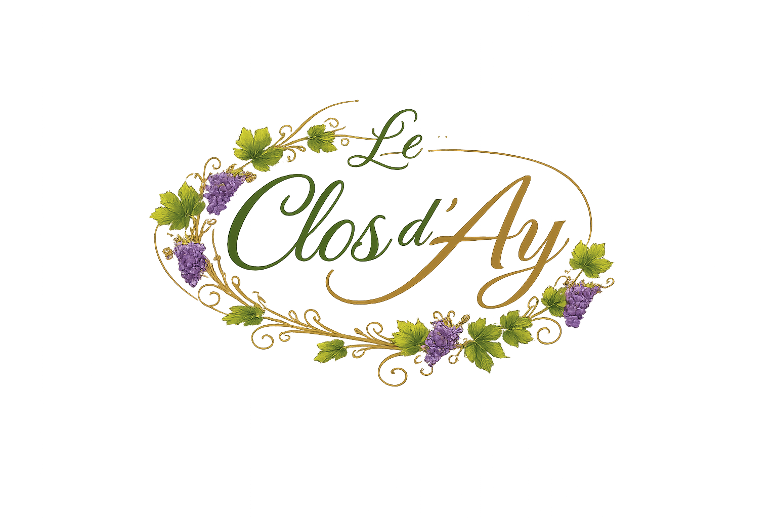 Le Clos d'Aÿ Champagne